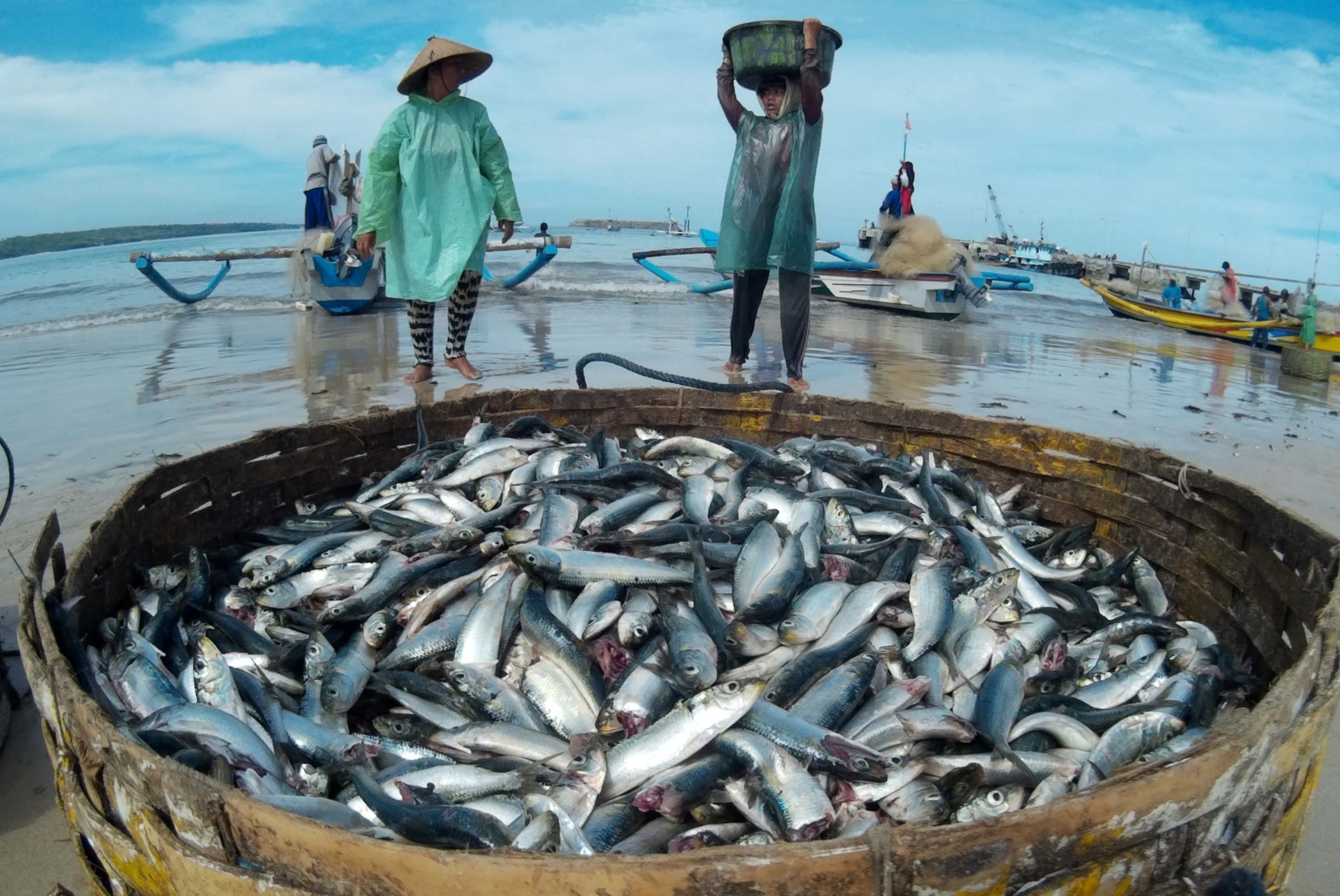nelayan Cuaca Buruk Aktivitas Nelayan Pantai Barat Madina Lumpuh